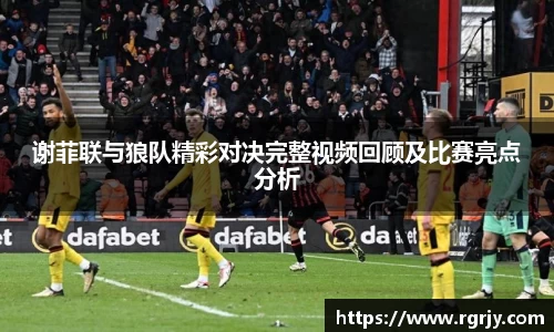 谢菲联与狼队精彩对决完整视频回顾及比赛亮点分析